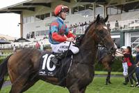 Trainer Mitch Newman eyes first big-race success with Garbhan in Tulloch Stakes