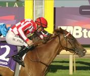 EVERYMILE A MEMORY SCORES AN EMOTIONAL DEBUT WIN