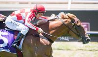 KISS THE BREEZE MAGIC MILLIONS BOUND!!