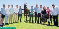HOW TO FLY DOMINANT!! ONTO MAGIC MILLIONS 3YO