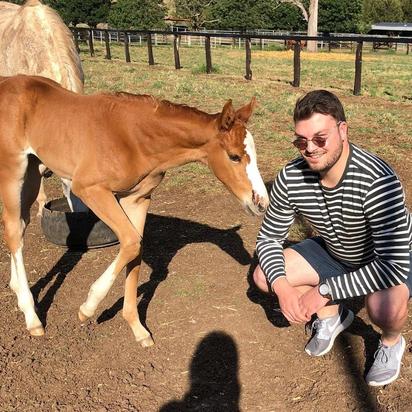 STARSPANGLEDBANNER X MA CHIENNE FILLY