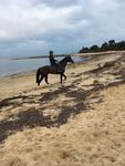 Life's a Beach in the Land of Plenty