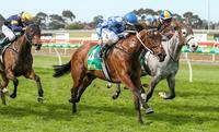 “Two in a row” for EL QUESTRO