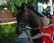 Patience pays for Alonzah