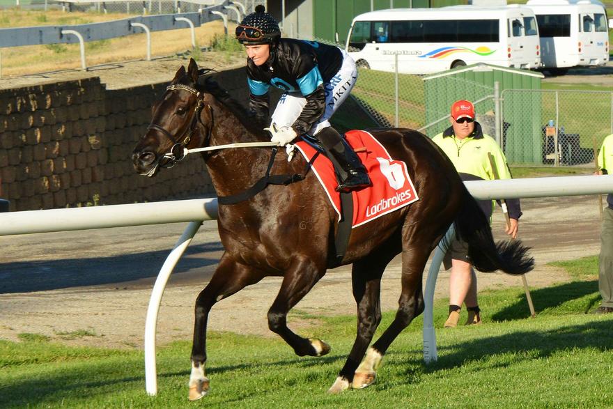 Australian Horse Trainer Allison Sheehan Racing