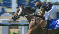 Blinkers added to keep The Man's mind on the job