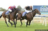 Gilly to tackle tonight's Stayers Series Final