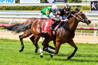 Tykiato tunes up in Cranbourne trial