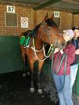 Patience the key as Sestertia closes in on debut