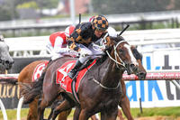 Tykiato Under Lights