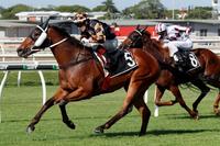 'The Man' set to give Weetwood a shake