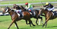 1ST STAKES WIN FOR $10,000 BARGAIN MAN OF HIS WORD