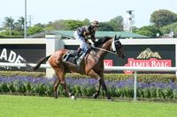 Man Of His Word Resumes Saturday