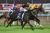 Gee Whizzer Returns To Work For John Price