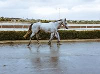 Exciting Team Grand duo set to debut