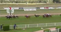 SNIPER JUST MISSES FIRST UP IN QLD