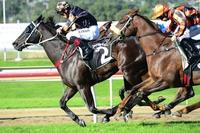 Liberty Island ready to return to racing
