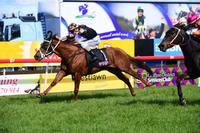 Dubawi Sniper bang on target at Grafton