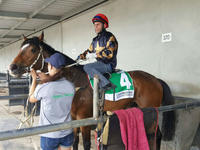 Talented Toffiato faces Echuca test