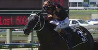 Liberty Island delivers at Doomben