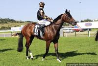 Belle Voleur enjoys Gosford trial hit-out