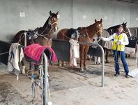 Team Grand youngsters go good at Pakenham
