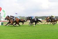 Gutsy Gun Bolt super impressive at Ipswich