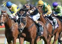 Dubawi Sniper strikes twice in a week