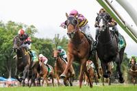 Sound The Trumpet off the canvas at Kyneton