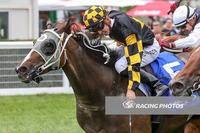 Luke Oliver Trio Gear Up For Returns