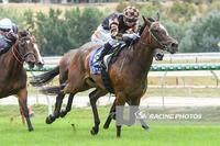 Last-start winners set to go close again