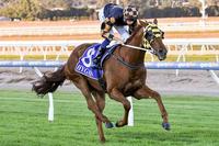 Busy Times Ahead For Grand