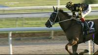 Dubawi Sniper picks them off at Grafton
