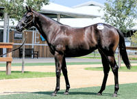 Shamus Award Gets His First Winner!