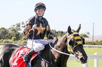 Victorian Stayers Ready To Step Up