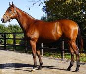 Things hotting up in South Australia for Team Grand