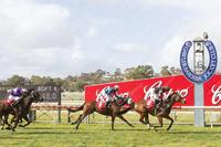 EUREKA! Change Of Scenery Works For Rebel Raider Filly