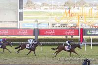 Bajan Lands A Plunge At Morphettville
