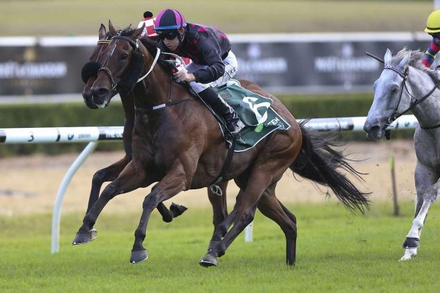 Cavanough Star Set For Kosciuszko