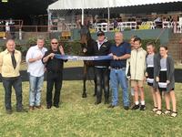 Zoffany's Lad Gets Hat Trick