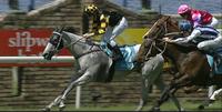 Fille Gris Looks For Another Win