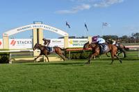 Zoffany's Lad Back In Work