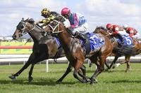 Mark My Word To Resume At Rosehill
