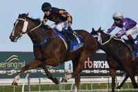 Gun Bolt On Target For Return