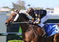 Man Of His Word Wants To Win YOU $250,000 In The All Star Mile!!