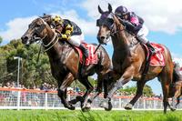 Gee Whizzer Notches Up Sixth Career Win