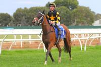 Grand Syndicates Mares Wrap Up Successful Preps