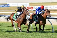 Tykiato Scores Win Number Eight