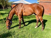 Man Of His Word Back In Work