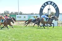 The Winners Keep Rolling For Grand Syndicates!